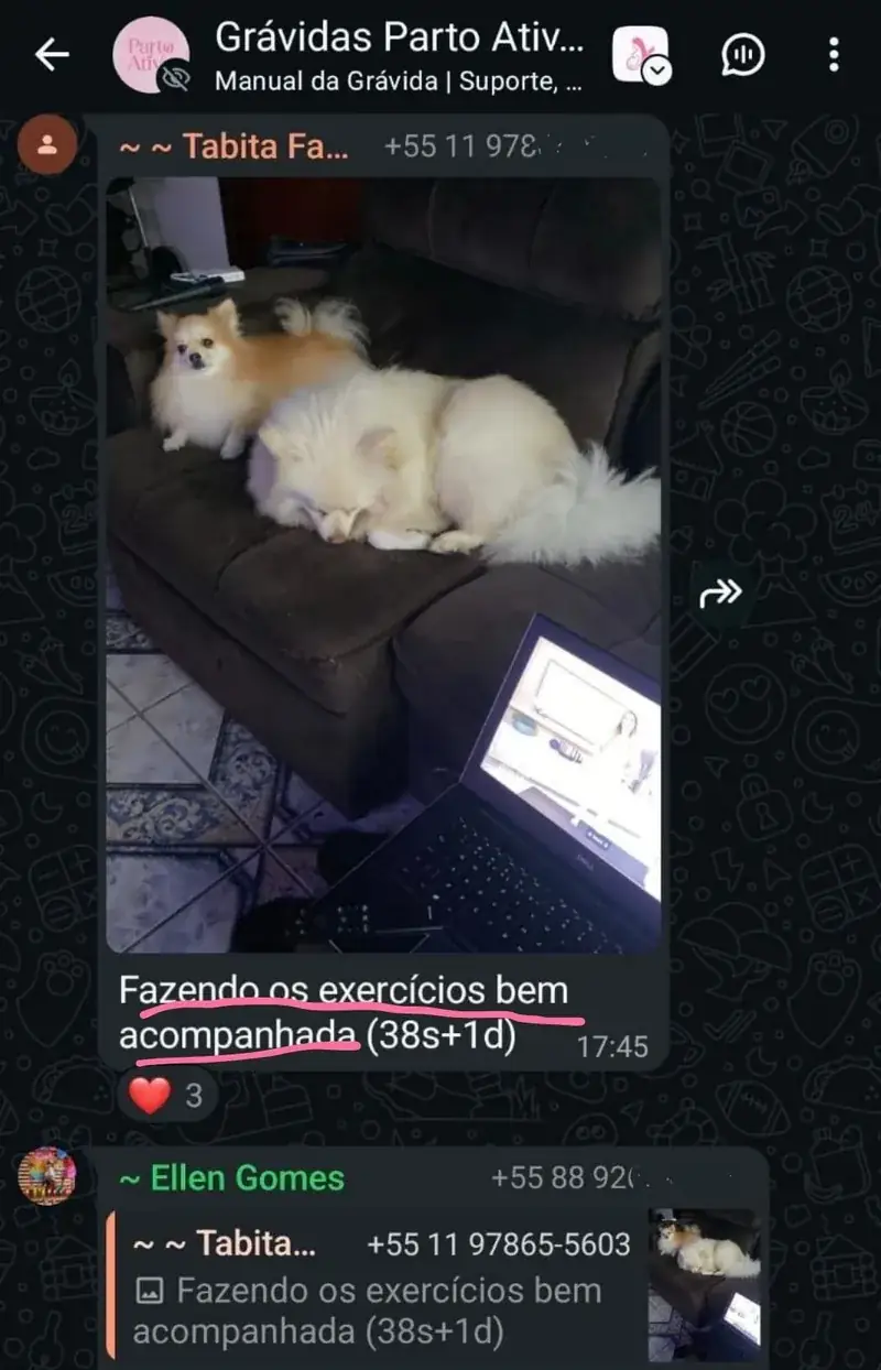 Mensagem real de aluna do Manual da Grávida relatando a experiência de gestação e parto
